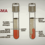 Difference Between Serum and Plasma, TAGUAS SIDE HUSTLES