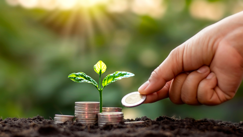 financial, TAGUAS SIDE HUSTLES